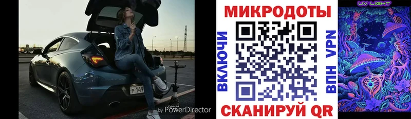 Галлюциногенные грибы Psilocybine cubensis  Первоуральск 